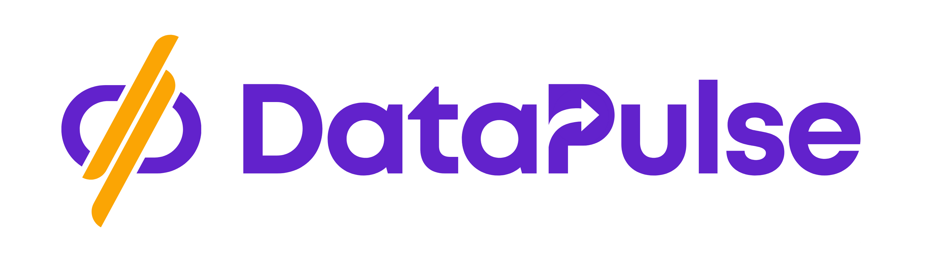 DataPulse Digital